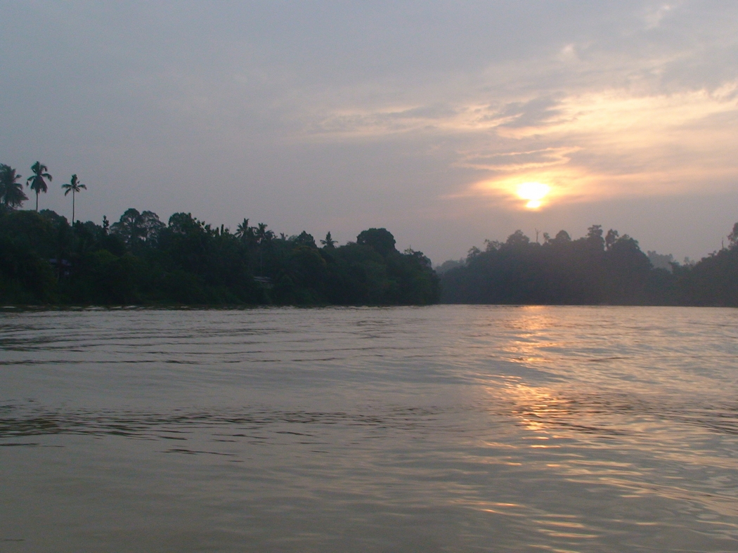 Borneo2 (91).JPG